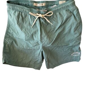 PacSun Teal Casual Shorts 1152